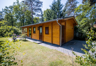 Udendørsbillede af en hyggelig 2-personers wellness lodge i træ, omgivet af natur i Holland.