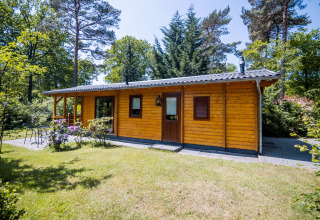 En lille træhytte omgivet af natur, beliggende i Holland, kendt som '2-personers wellness lodge'.