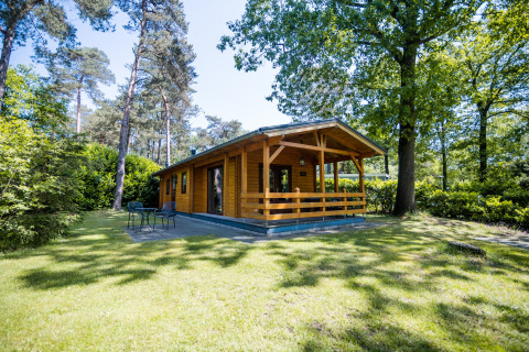 Træhytte i skovområde med terrasse og havemøbler, wellness lodge til 2 personer i Holland.