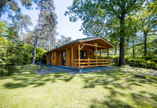 Gemütliche Holzlodge für zwei Personen mit Terrasse, umgeben von Wald, in den Niederlanden.
