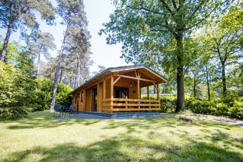Hyggelig træhytte kaldet 2-personers wellness lodge omgivet af grøn natur og træer i Holland.
