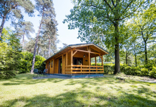 Gemütliche Holzlodge für 2 Personen, umgeben von Bäumen und Natur im Grünen in den Niederlanden.