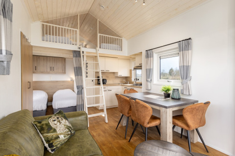 Interno di una tiny house al Holiday park Tolplas 19, Paesi Bassi, con soppalco e arredamento accogliente.