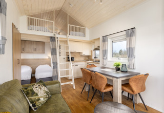 Interno di una tiny house al Holiday park Tolplas 19, Paesi Bassi, con soppalco e arredamento accogliente.