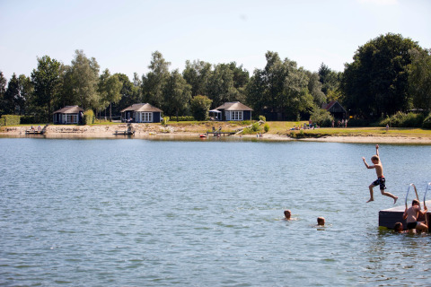 Des enfants nagent et sautent dans un lac devant de petites maisons au parc Tolplas 19 aux Pays-Bas.