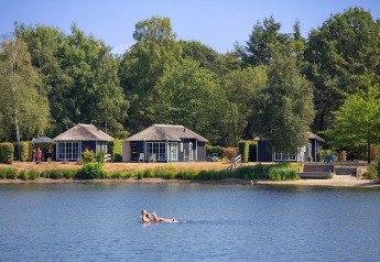 Kleine Ferienhäuser am See im Ferienpark Tolplas 19, Niederlande, umgeben von Bäumen und Natur.