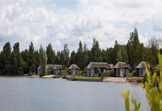 Udsigt over søen til feriehusene i Holiday park Tolplas 19, Holland, med træer i baggrunden.