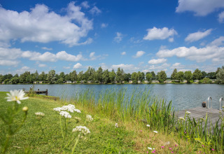 Blick auf einen See mit Steg, Wiesen und Bäumen bei Ferienpark Tolplas 19 in den Niederlanden.