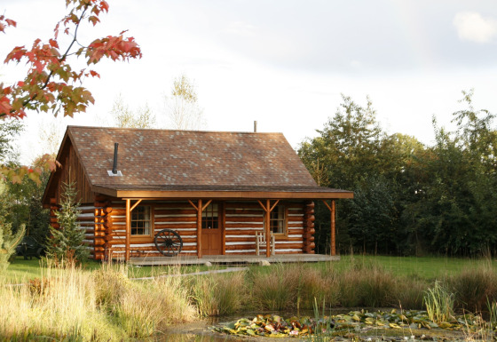 Accogliente chalet chiamato American Log Cabin circondato da alberi, prato e uno stagno di fronte.