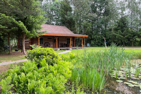 Baita di tronchi vicino a uno stagno con vegetazione lussureggiante, American Log Cabin nei Paesi Bassi.
