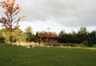 Amerikanische Blockhütte in den Niederlanden, grüne Wiese, spielende Hunde, schwacher Regenbogen.