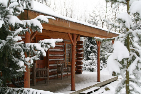 Træhytte kaldet American Log Cabin i Holland, omgivet af sneklædte træer og vinterlandskab.