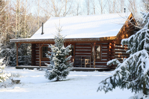 American Log Cabin in den Niederlanden, umgeben von verschneiten Bäumen und winterlicher Landschaft.