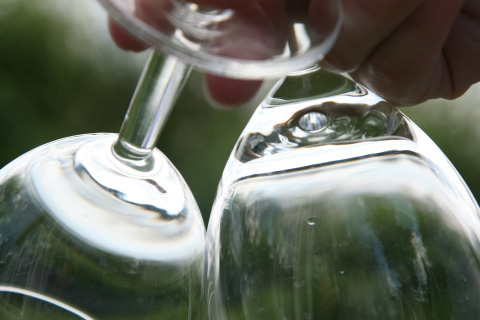Primo piano di due calici da vino che brindano, scattata a Holiday park «Tolplas 19» nei Paesi Bassi.