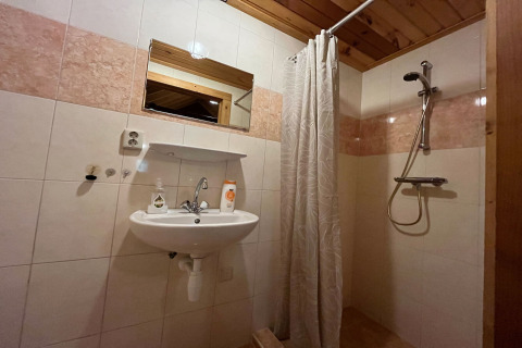 Bagno con doccia, lavandino, specchio e dettagli in legno presso lo chalet American Log Cabin nei Paesi Bassi.