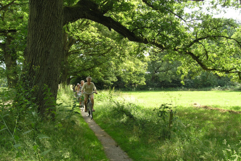 People cycling on a narrow forest path under green trees near the American Log Cabin chalet in the Netherlands.
