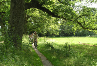 Radfahrer fahren auf schmalem Waldweg bei sonnigem Wetter nahe dem American Log Cabin Chalet in den Niederlanden.