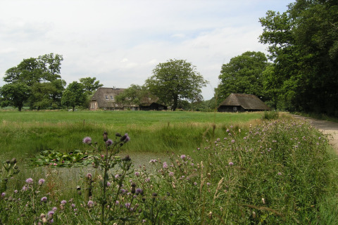 Vue champêtre du American Log Cabin aux Pays-Bas, maisons traditionnelles et fleurs sauvages en été.