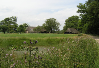 Landskab ved American Log Cabin i Holland med traditionelle stråtækte hytter og grønne marker.