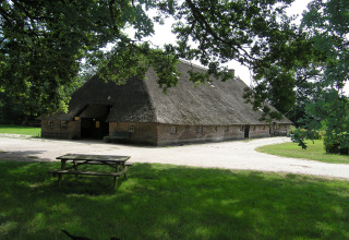 Ein traditionelles niederländisches Bauernhaus mit Strohdach, umgeben von grüner Wiese und Bäumen.