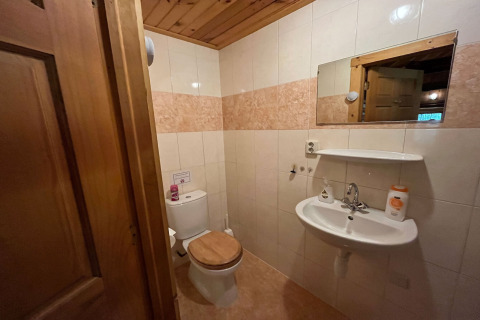 Badezimmer mit Holzdecke, Toilette mit Holzsitz, Waschbecken, Spiegel und Regal in einer Hütte in Holland.