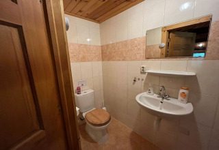 Bathroom with wooden ceiling, toilet with wooden seat, sink, mirror, and shelves in American Log Cabin, Netherlands.