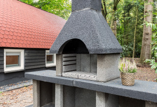 Betonnen buitenbarbecue naast een lodge in het bos bij Residence De Eese 22 in Nederland.