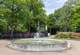 Fontein omgeven door bomen en bloeiende struiken bij Residence De Eese 22 in Nederland.