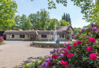 Bloeiende rododendrons en fontein bij Residence De Eese 22 lodge in Nederland op een zonnige dag.