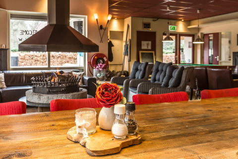 Gezellige lounge bij chalet Residence de Eese 20 in Nederland met open haard, zitjes en houten tafel.