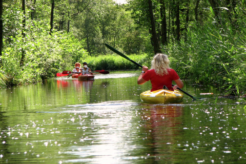 Personen kajakken op een rustige rivier midden in het bos tijdens een glampingverblijf in de natuur.