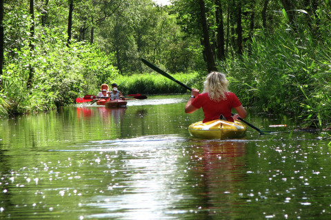 Mensen kajakken op een rustige bosrivier tijdens een glampingverblijf, omgeven door groene natuur.