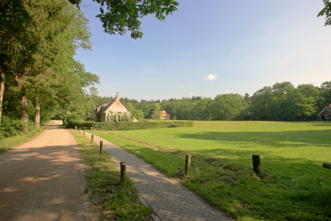 Glampingverblijf in landelijke omgeving met groene velden, bomen en gezellige huisjes op de achtergrond.