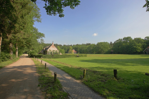 Glampingaccommodatie omgeven door groene weilanden, bomen en sfeervolle huisjes op het platteland.