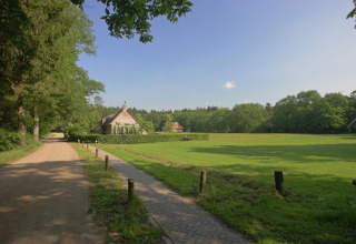 Glampingaccommodatie omgeven door groene weilanden, bomen en sfeervolle huisjes op het platteland.