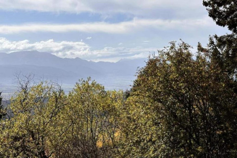 Uitzicht vanaf Residence de Eese 20 in Nederland met bomen op de voorgrond en bergen in de verte.