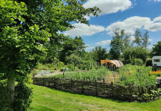 Photo of a peaceful glamping site with lush gardens, trees, and a camper under a blue sky with clouds.