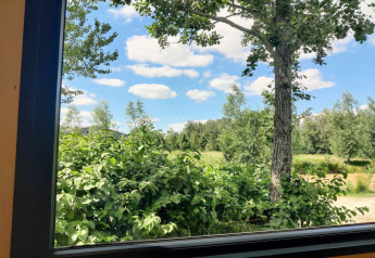 Uitzicht vanuit een tiny house in Nederland, met groene bomen, struiken en een blauwe lucht met wolken.