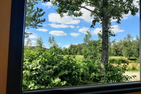 View from a tiny house window in the Netherlands, showing green trees, bushes, and a blue sky with clouds.