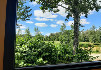 View from a tiny house window in the Netherlands, showing green trees, bushes, and a blue sky with clouds.