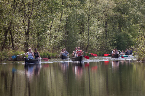 People paddling canoes on a calm river surrounded by trees near Tiny House for 2 in the Netherlands.