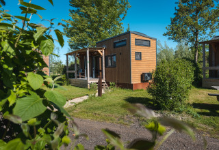 Casa pequeña para 2 personas con fachada de madera, en entorno verde y soleado de los Países Bajos.