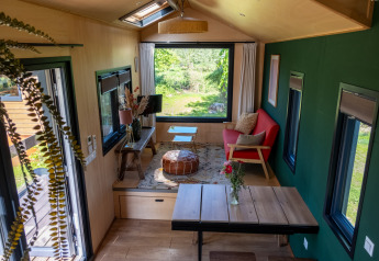 Interior of a tiny house in the Netherlands with green wall, modern furniture, and wide window overlooking nature.