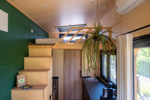 Interior view of a tiny house with loft bed, green wall, staircase, hanging plant, and kitchenette.
