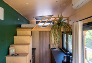 Vue intérieure d'une tiny house avec mezzanine, mur vert, escalier, plante suspendue et kitchenette.