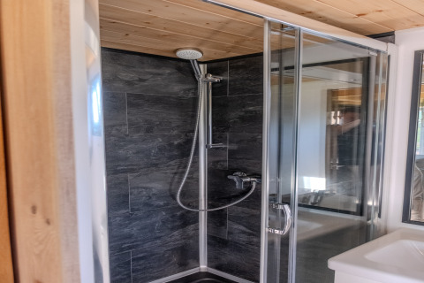 Modern shower cabin with glass doors, dark tiles, and wood ceiling in a tiny house in the Netherlands.