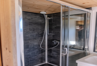 Modern shower cabin with glass doors, dark tiles, and wood ceiling in a tiny house in the Netherlands.