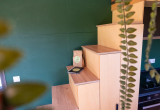 Wooden stairs in a tiny house with green wall, coffee, notebook, and hanging plant, Tiny House Netherlands.
