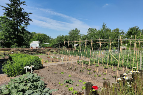 Sunny vegetable garden at Wetland Cabin for 2 at Boetiekpark de Kas, Scherpenzeel, Friesland, Netherlands.