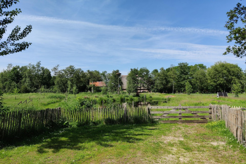Pradera verde con valla de madera y cabaña bajo cielo azul en Wetland Cabin, Friesland, Países Bajos.